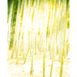 Nunzio Battaglia foto paesaggo architettura photos photography fine art